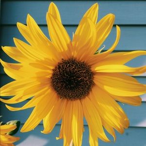 Meet your Posher, Ciara